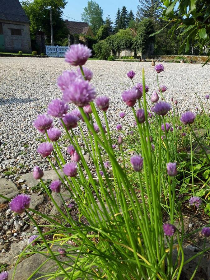Baincthun Petit Manoir De La Berthenlaire B&B 외부 사진
